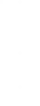 Shape Image